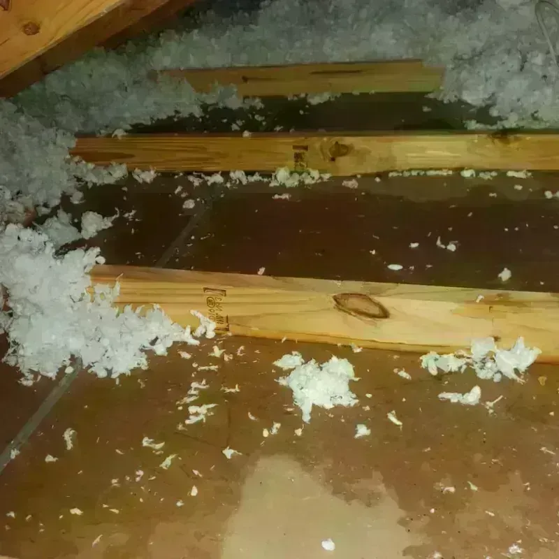 Attic Water Damage in Palo Pinto, TX